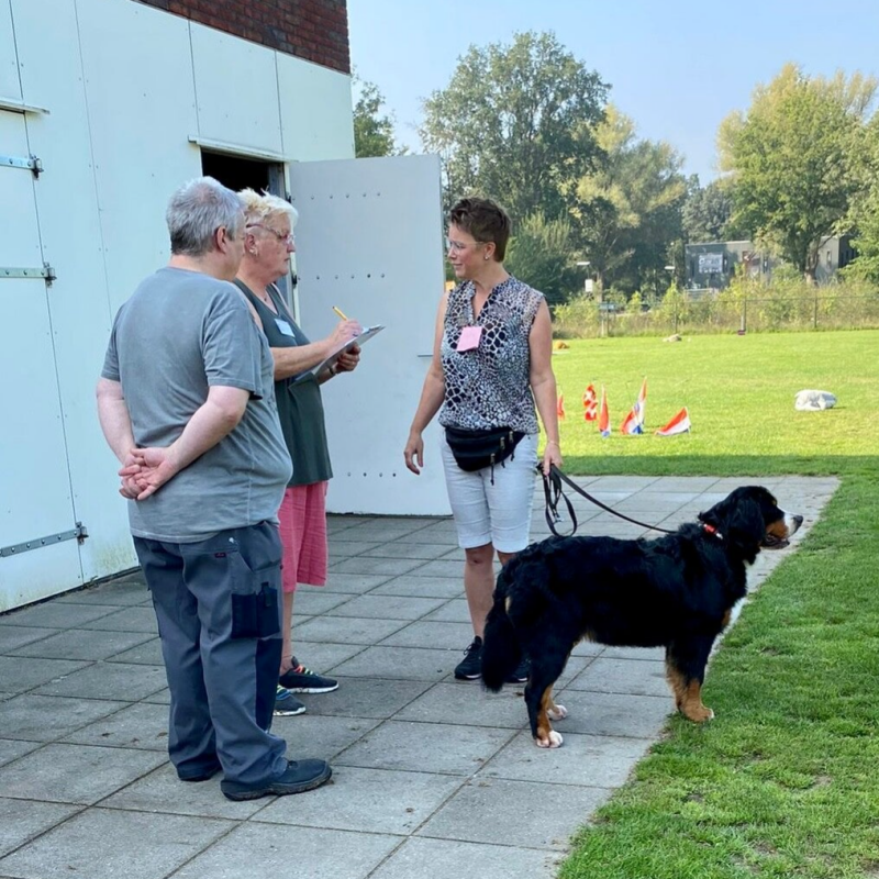 Chip uitlezen bij een hond, chip registreren
