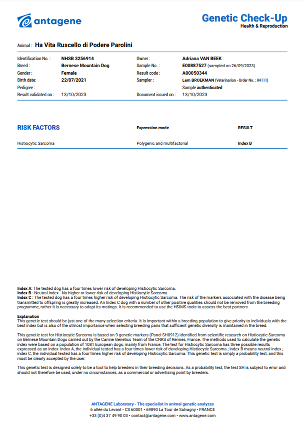 Antagene pretest Berner sennenhond. Kanker bestrijden bij de berners