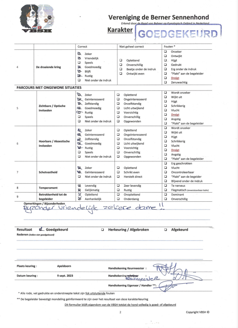 Karakter Berner Sennenhond. Laar een hond nooit alleen bij een kind