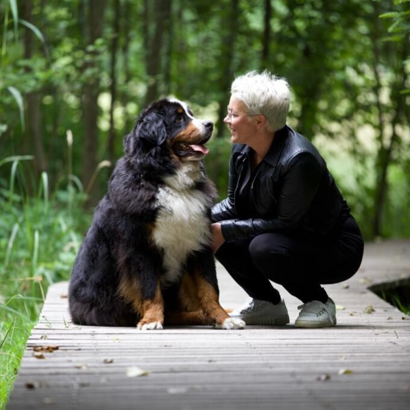 Berner Sennen sterven te vroeg