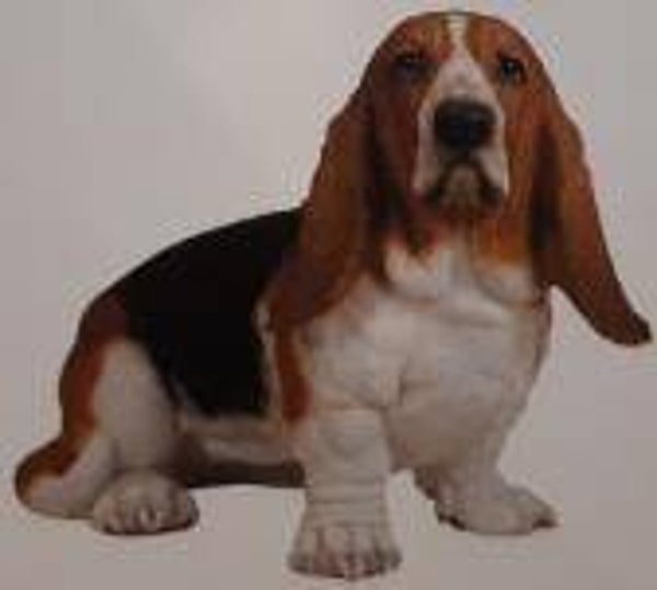 BASSET