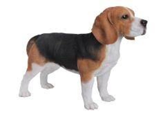 BEAGLE STAAND