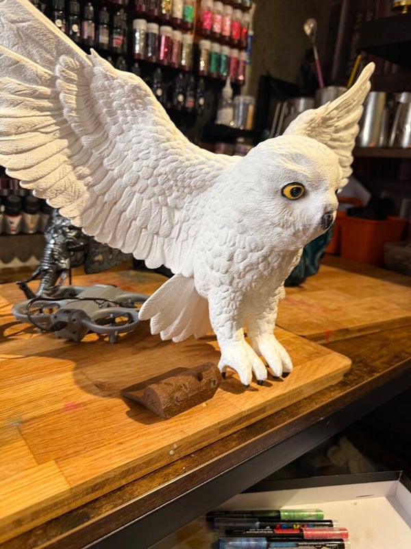 Hedwig de Uil