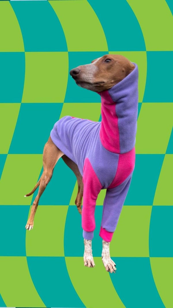 Hot Pink & Lilac