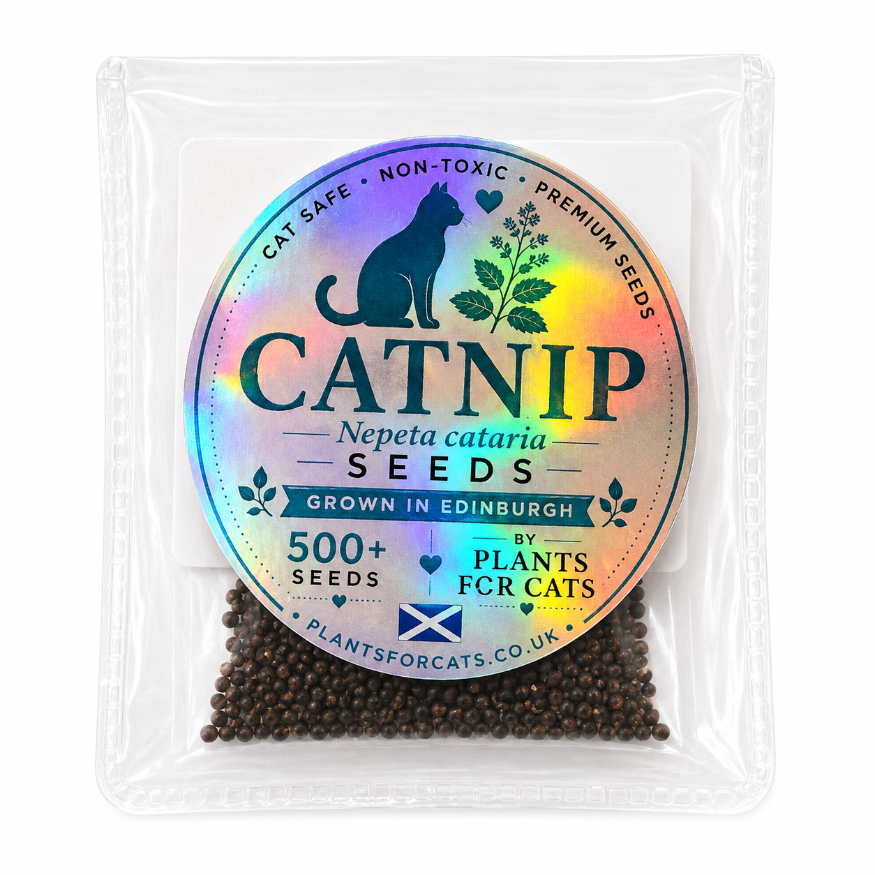 Catnip Seeds (Nepeta cataria) – Grow Your Own Cat Garden 🌿🐱