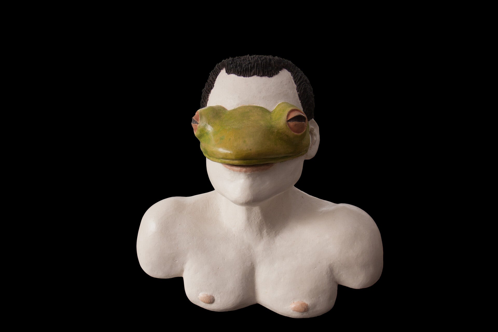 mascarade des animaux