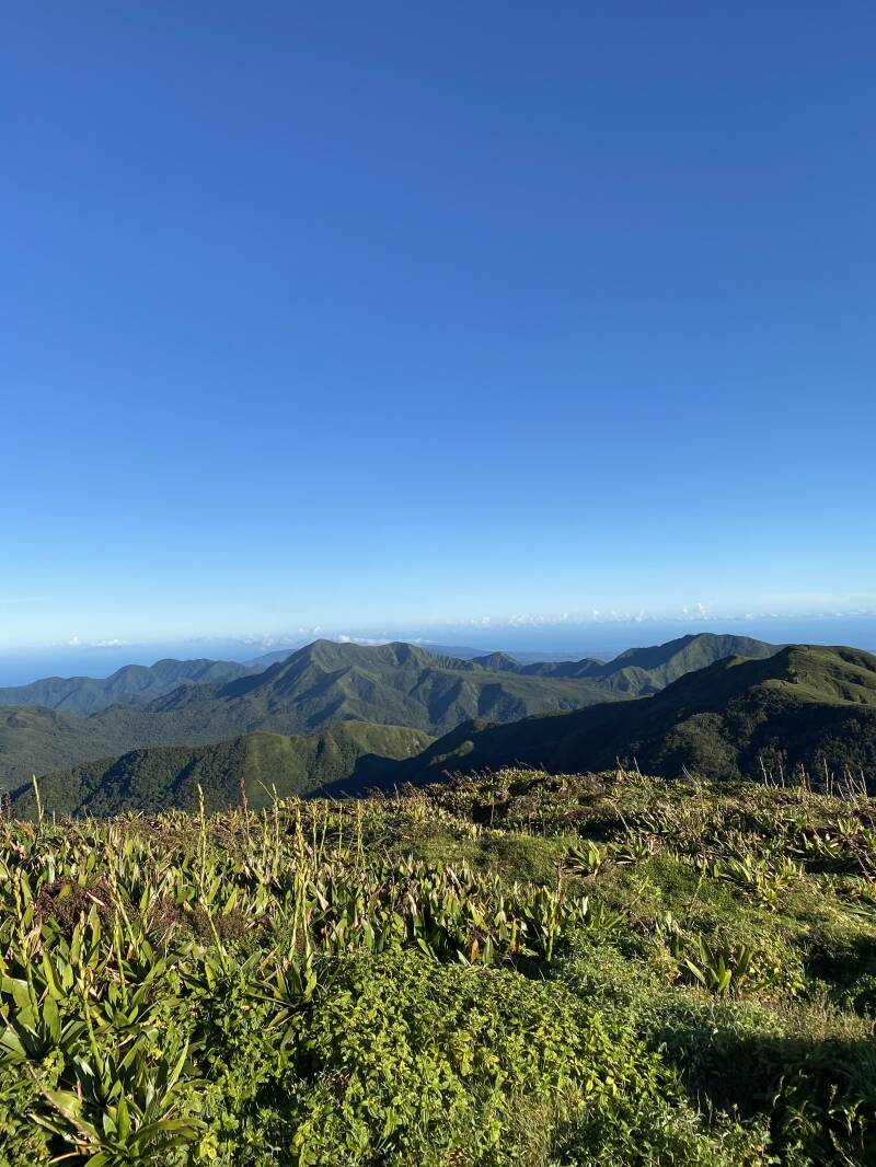 Soufrière