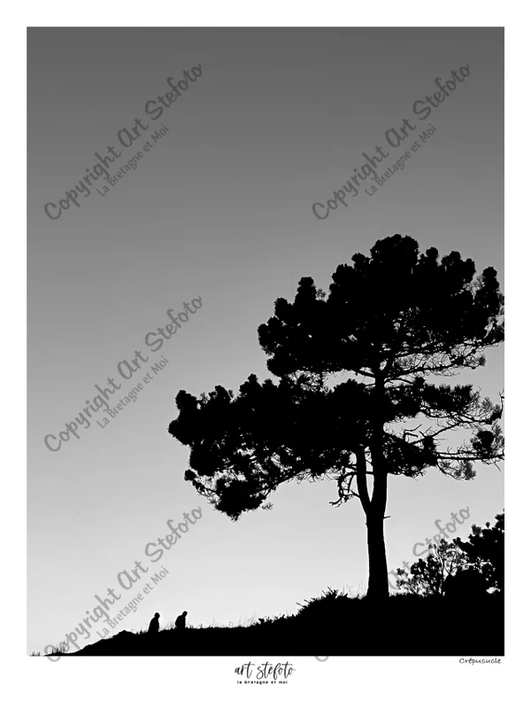 Crépuscule noir et blanc – photographie d'art de Bretagne par Art Stefoto