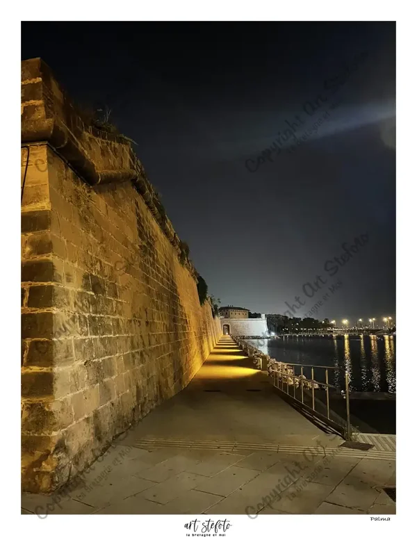 Palma (Copie)