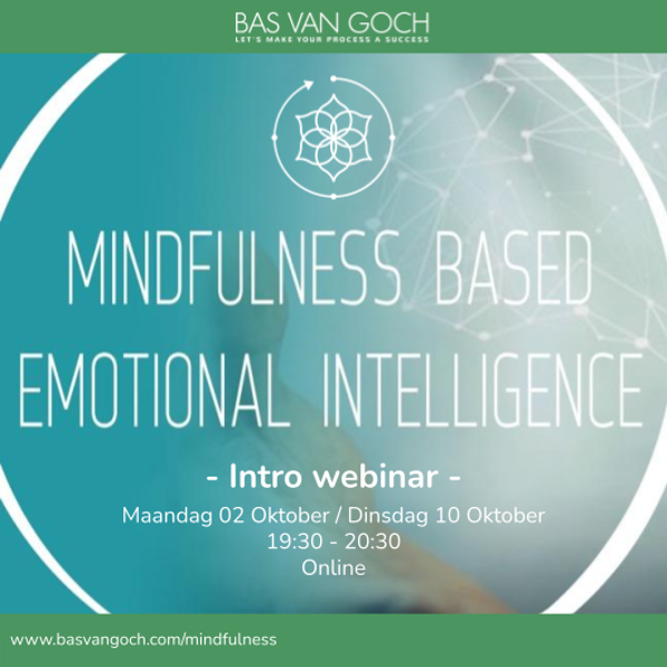 Webinar mindfulness training (MBE)