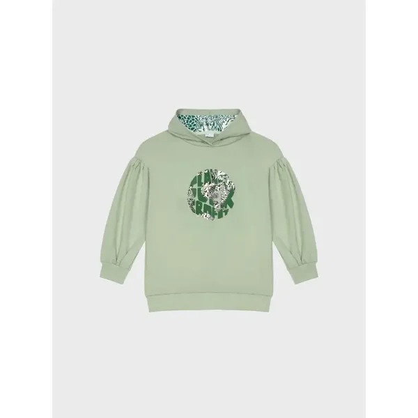 Ativo Meisje Sweatshirt met capuchon Groen