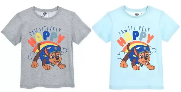 Nickelodeon Paw patrol jongens t-shirt, grijs en lichtblauw