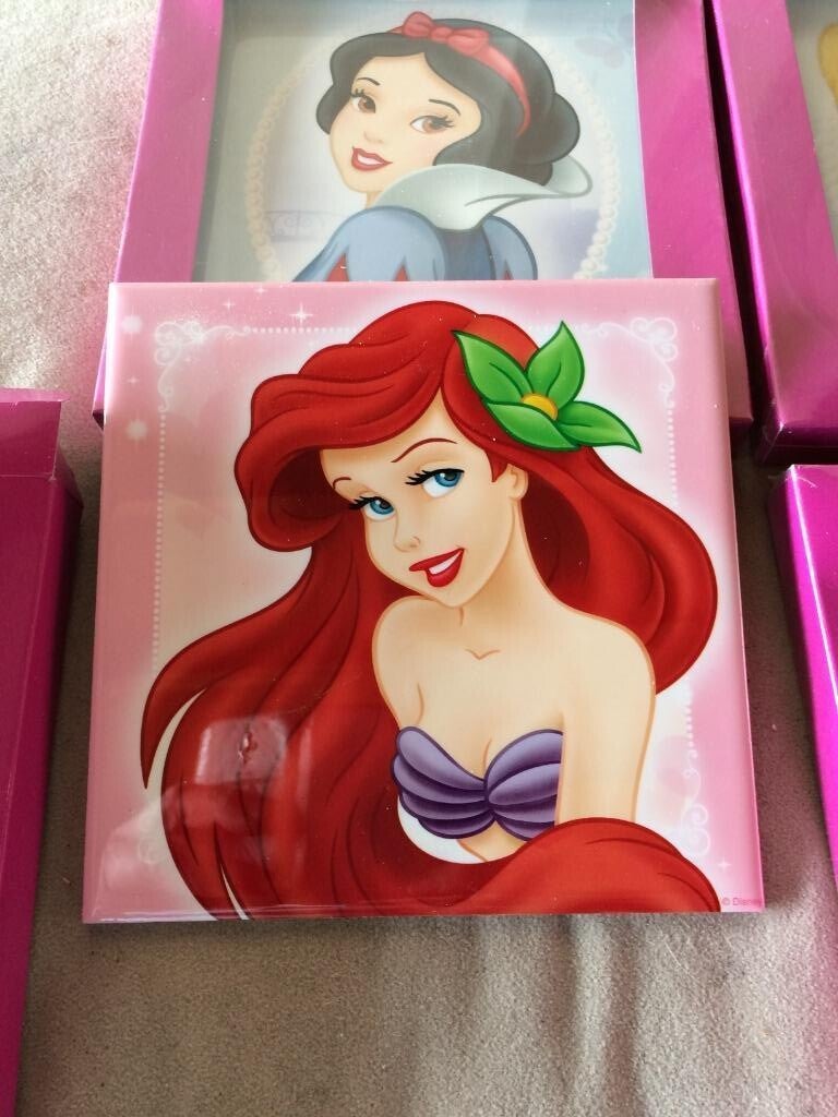 425 Stuks Disney stenen schilderijtjes