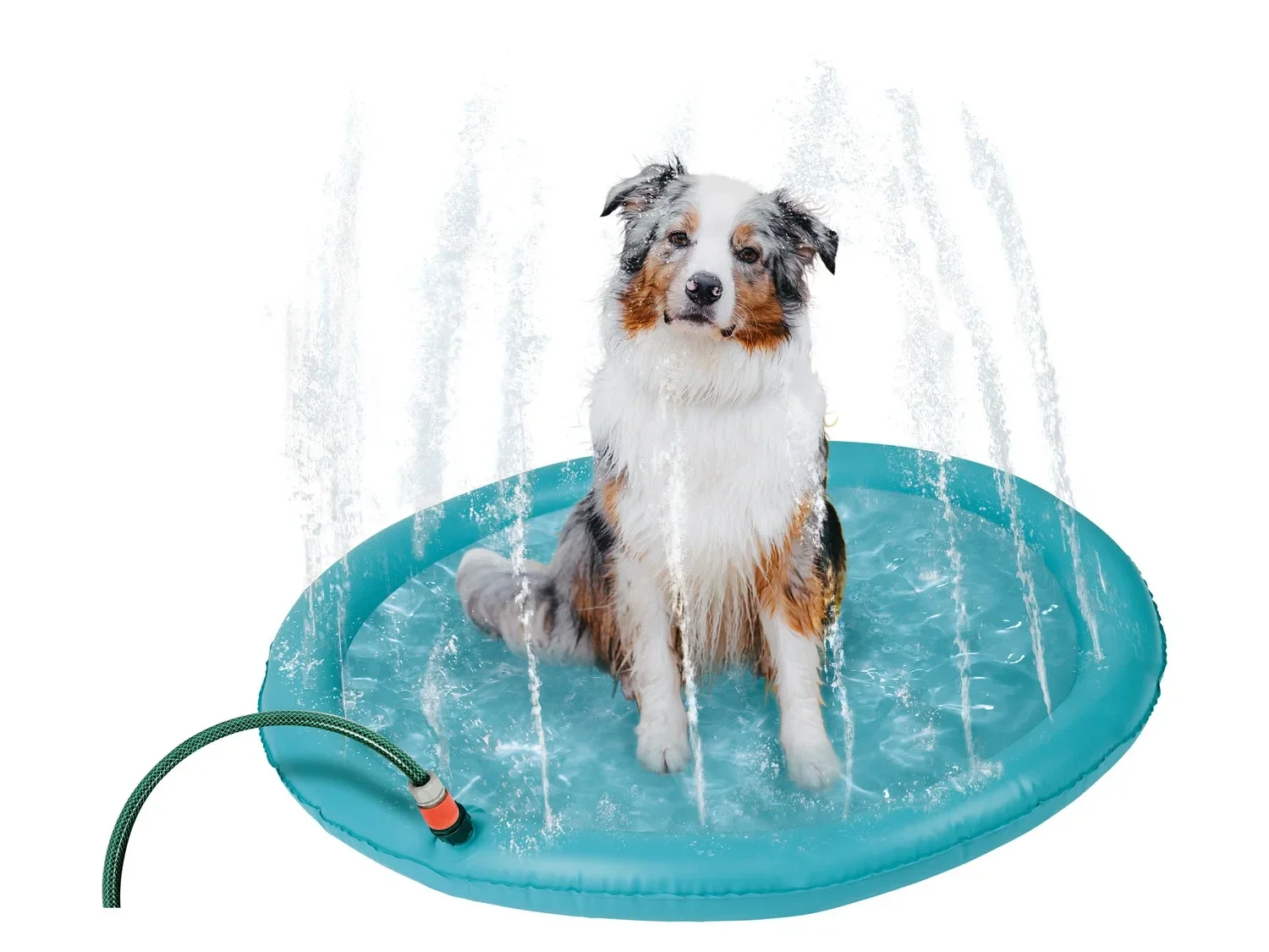 Honden Waterspeelmat - 100cm