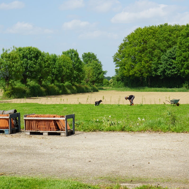 Kampeerweekend: Bomen in de grond