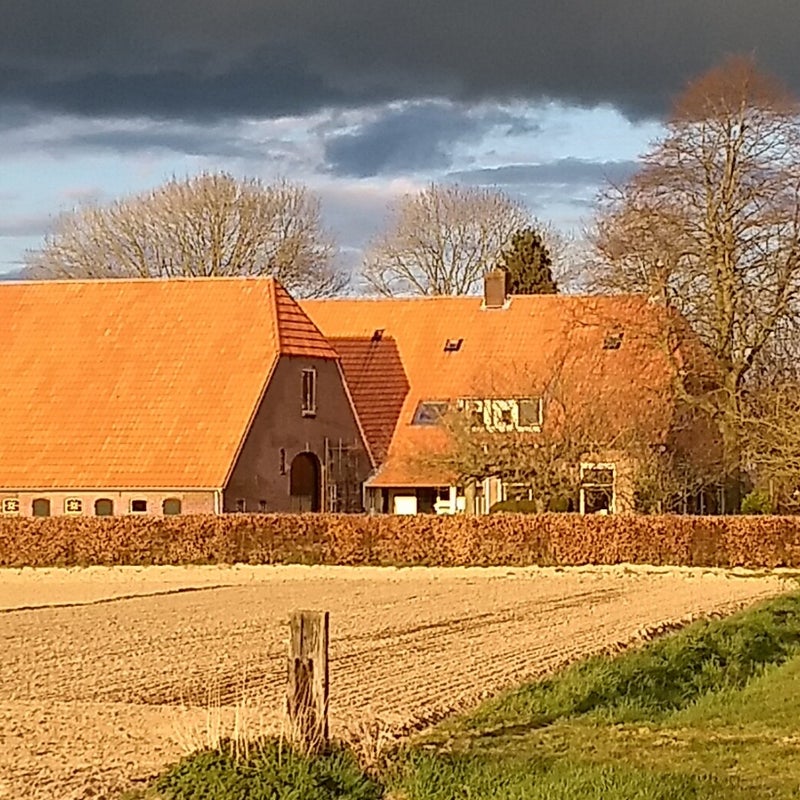 In de avondzon, april 2021