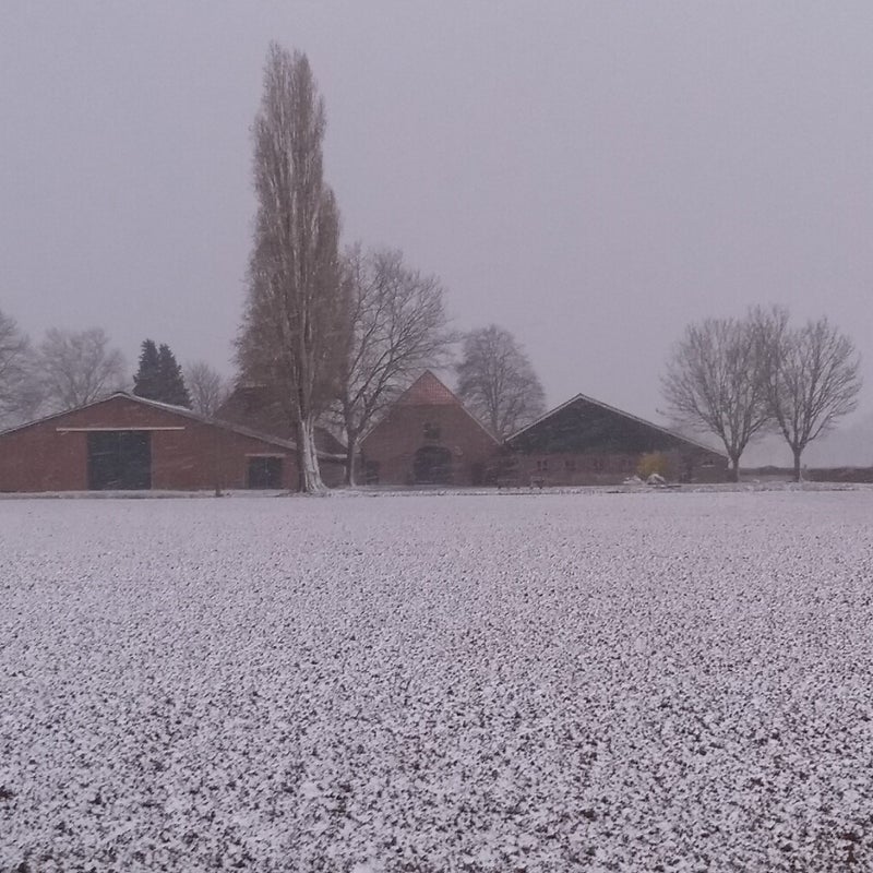 Tweede Paasdag 2021, Nijhof in de sneeuw