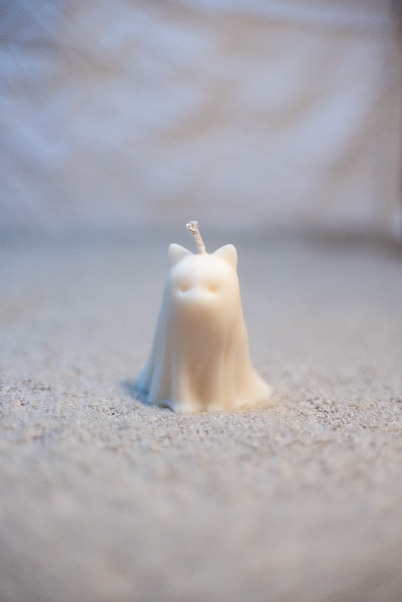 Ghost cat