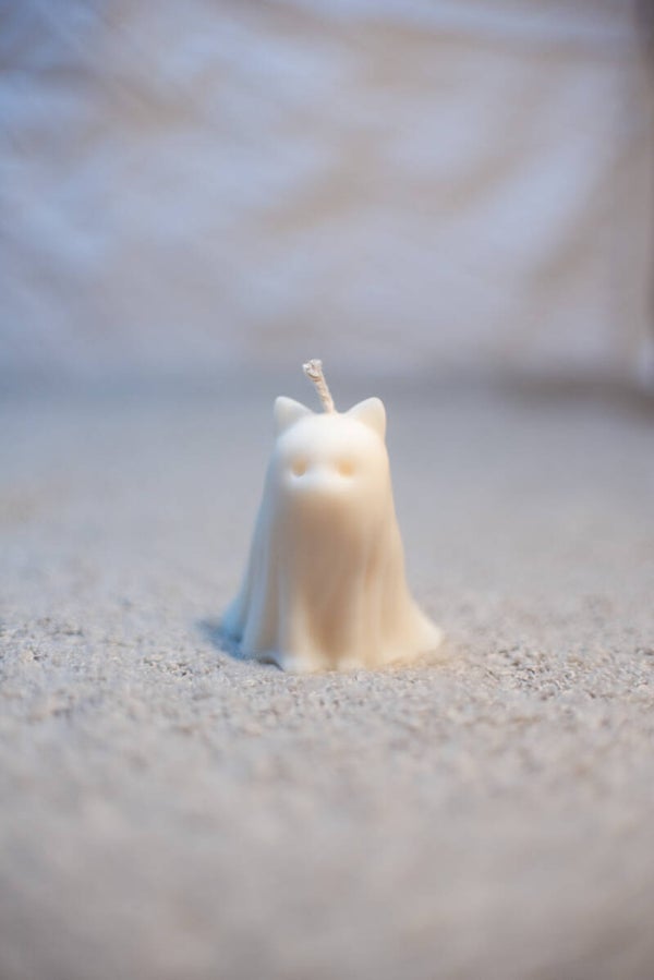 Ghost cat