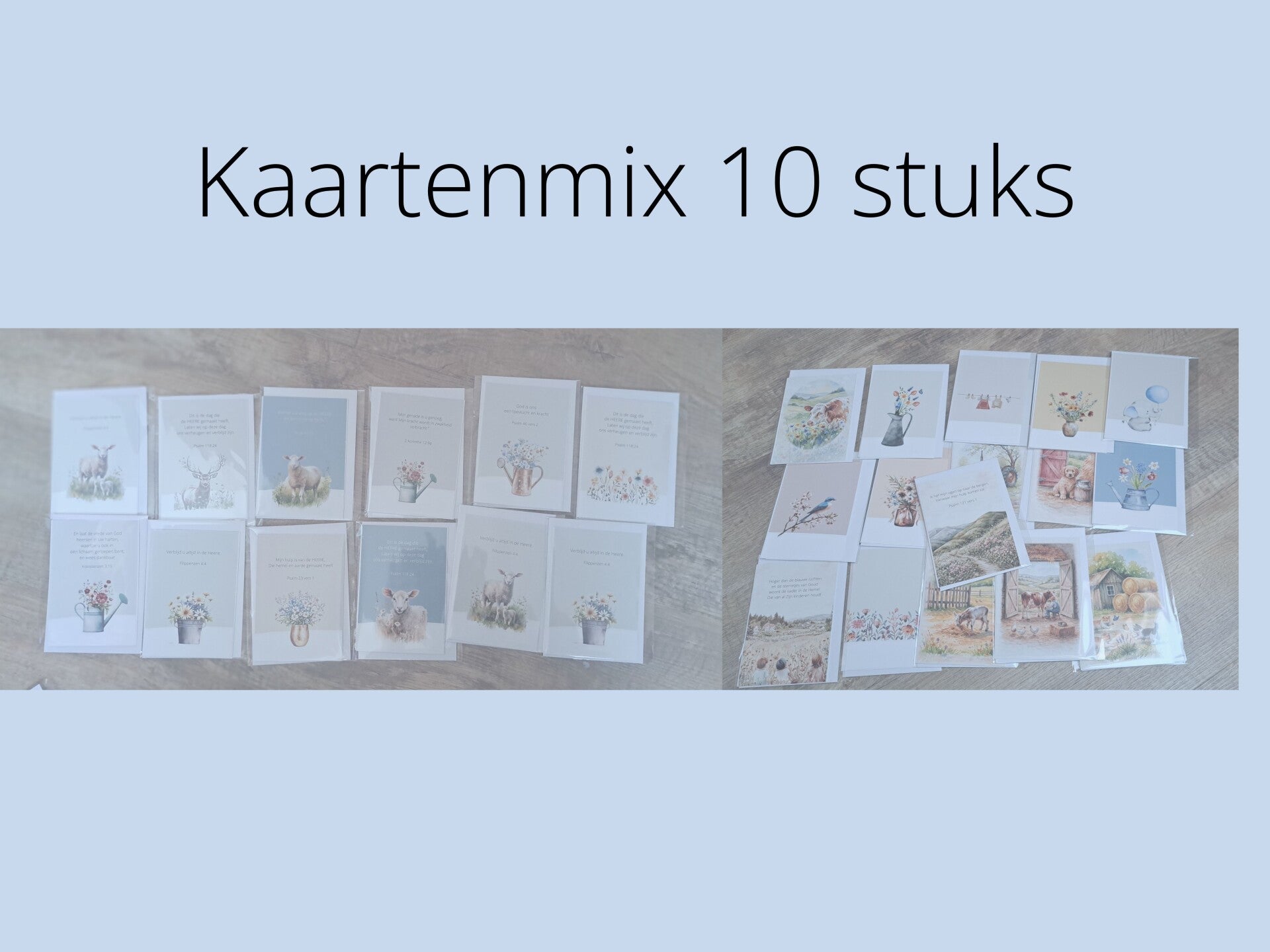 Kaartenmix 10 stuks