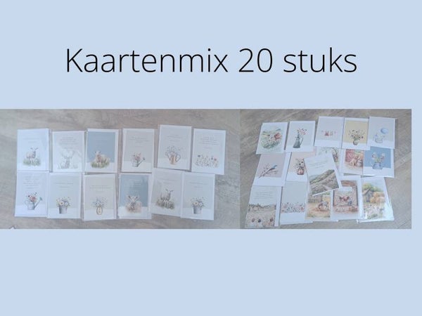 Kaartenmix 20 stuks