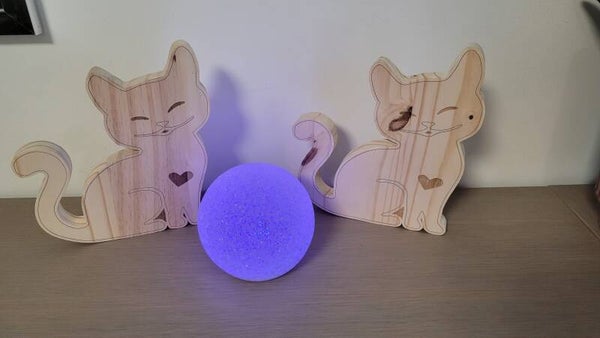 Déco chat personnalisable