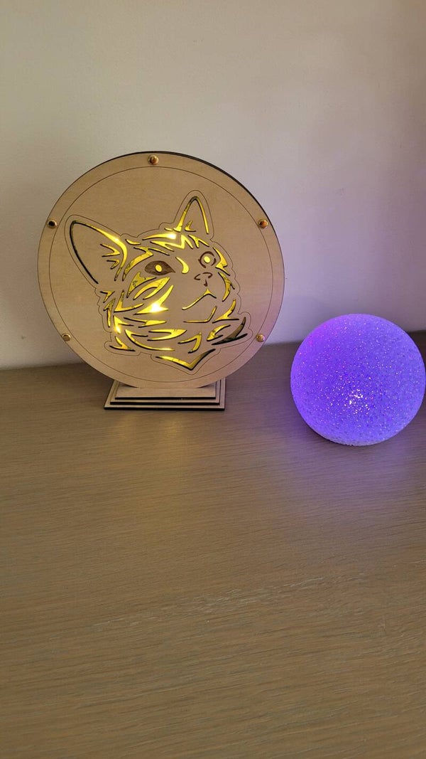 ✨  Déco lumineuse personnalisée chien ✨