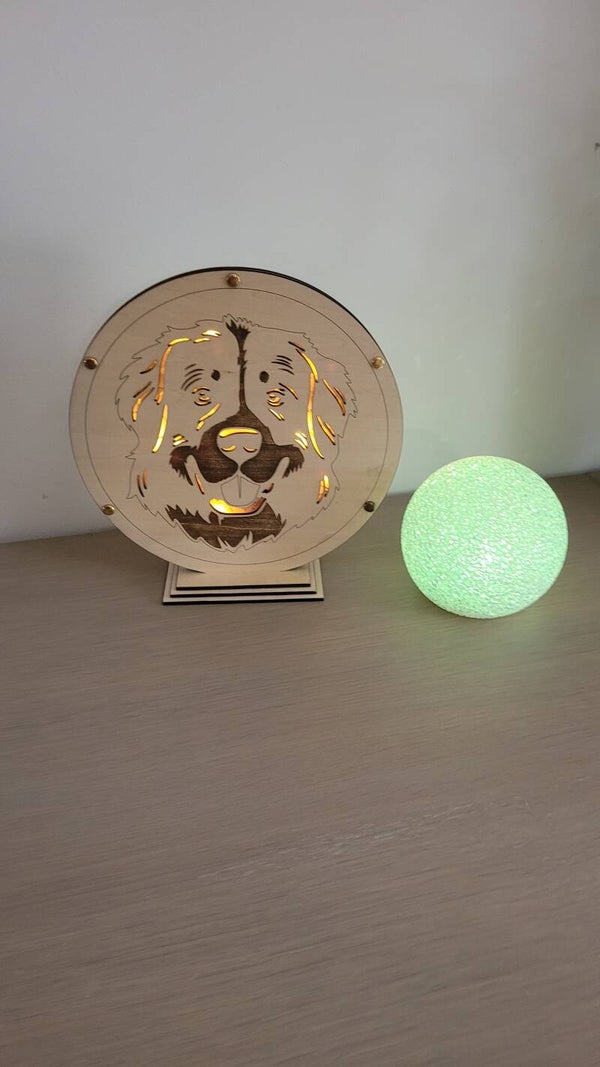 Déco lumineuse personnalisée Bouvier bernois 🐾