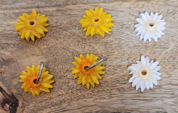 🌻 Pampilles Tournesol