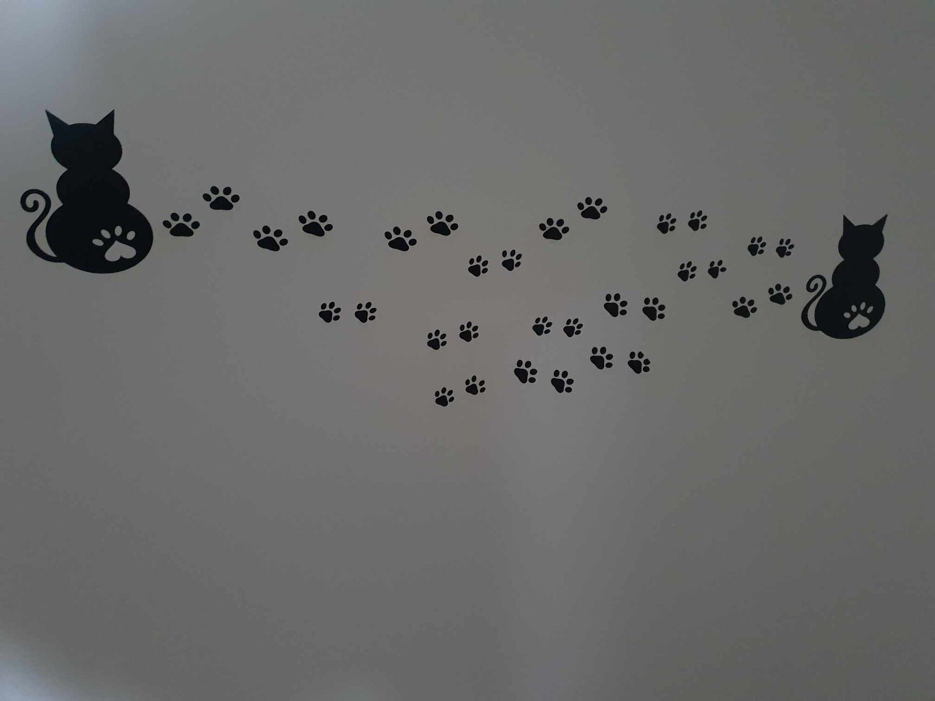 Sticker décoratif – Chats curieux