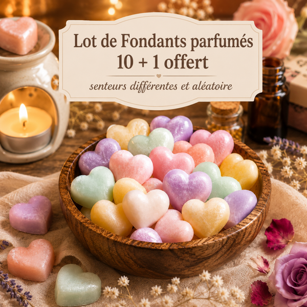Lot de 11 fondants parfumés