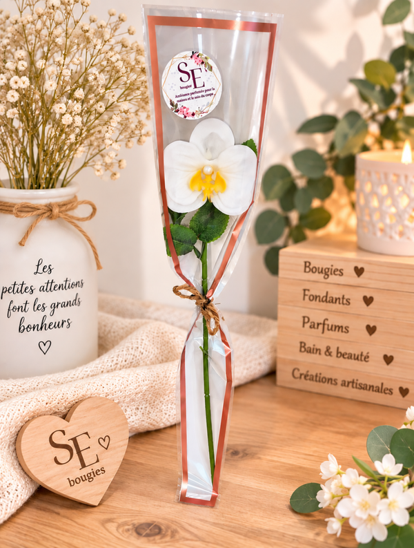 Orchidée de savon