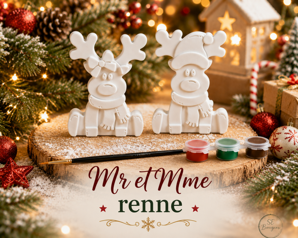 Kit créatif Mr et Mme renne
