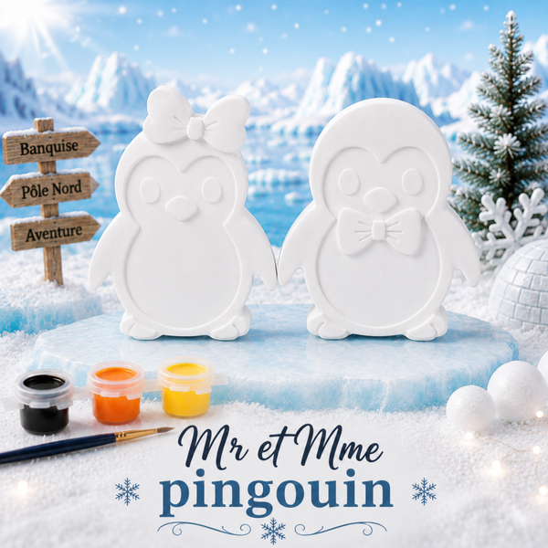 Kit créatif Mr et Mme pingouin