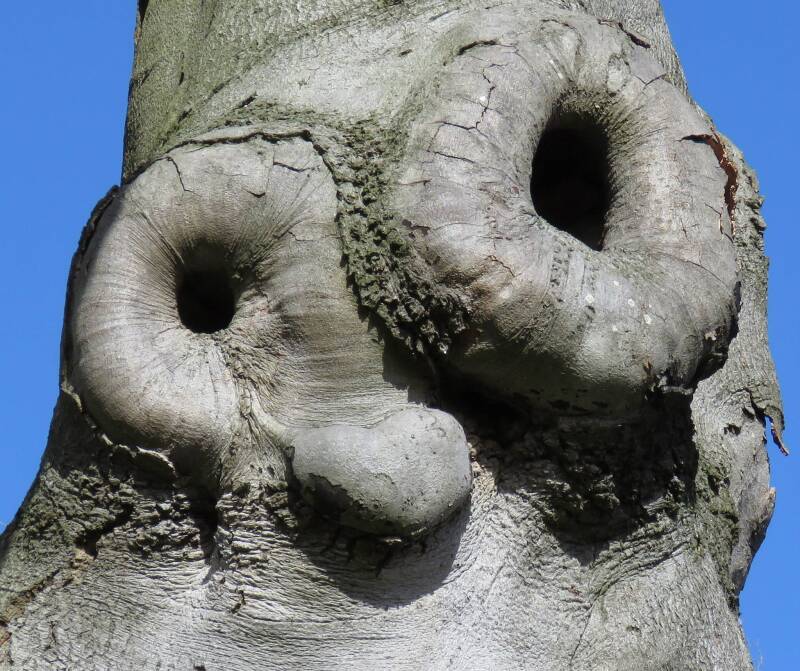 01-03-2015-clingendael.jpg