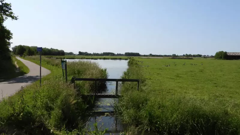 ackerdijkpolder4623a.webp
