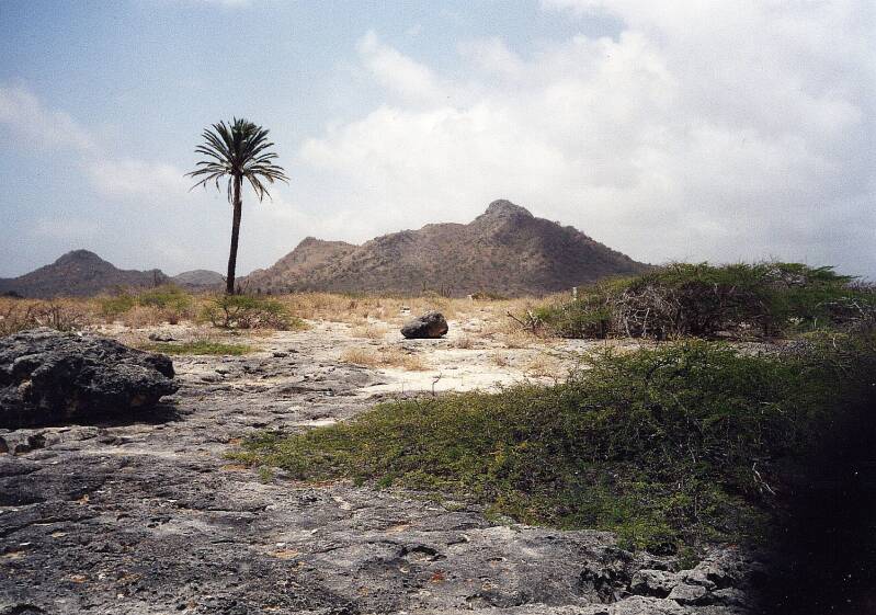 bonaire03.jpg