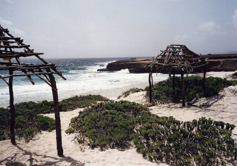 bonaire04.jpg