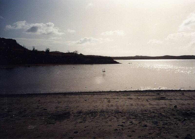 bonaire08.jpg