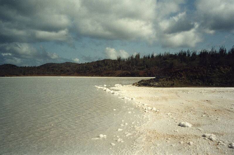bonaire09.jpg