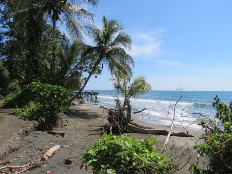 cahuita-strand-01-2013.jpg