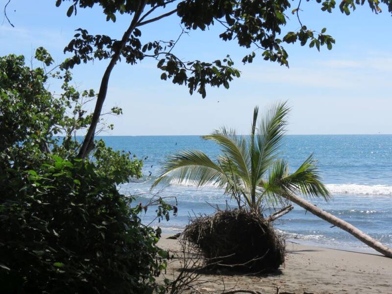 cahuita-strand-012-2013.jpg