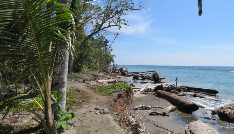 cahuita01.jpg