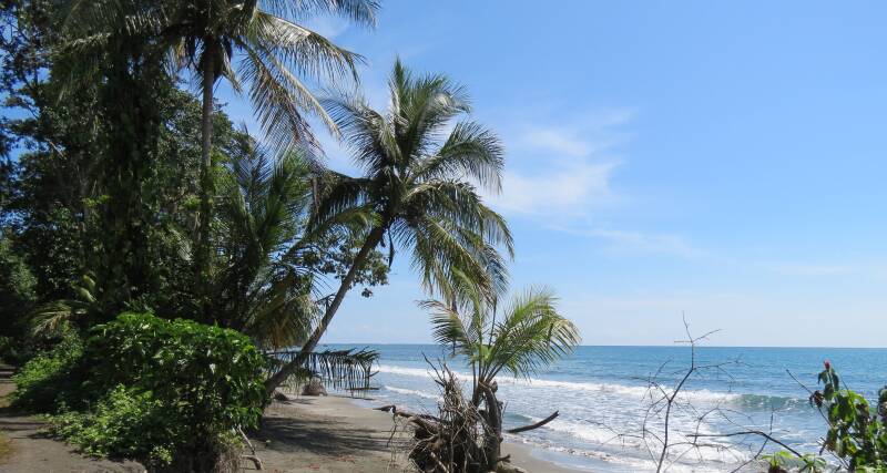 cahuita02.jpg