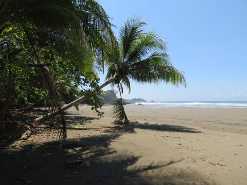 dominical-strand-3-2013.jpg