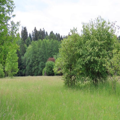 le-grande-himbomont-06-standard.jpg