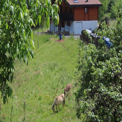 le-grande-himbomont-21-standard.jpg