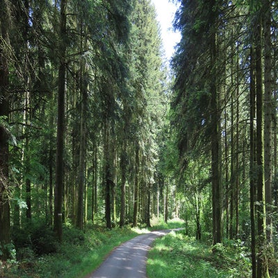 le-grande-himbomont-24-standard.jpg
