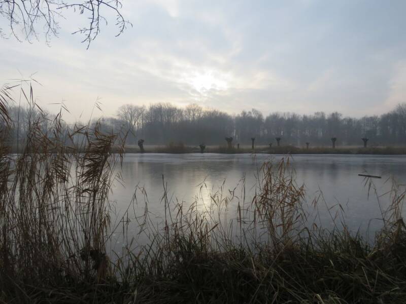 nootdorpseplassen-23-01-2017-a.jpg