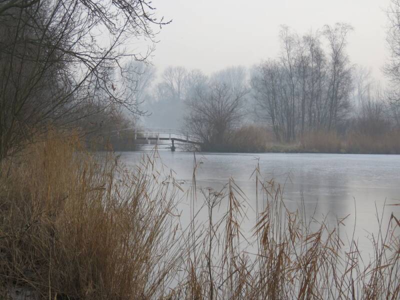 nootdorpseplassen-23-01-2017-b.jpg